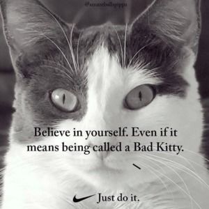 Meet your Posher, Lynette